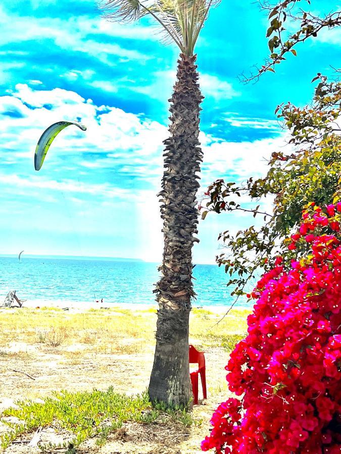 Windsurf Beach Front ตอร์เร กรานเด ภายนอก รูปภาพ