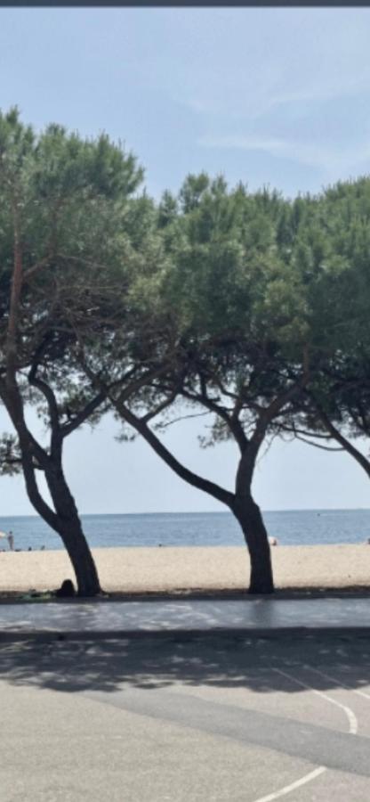 Windsurf Beach Front ตอร์เร กรานเด ภายนอก รูปภาพ