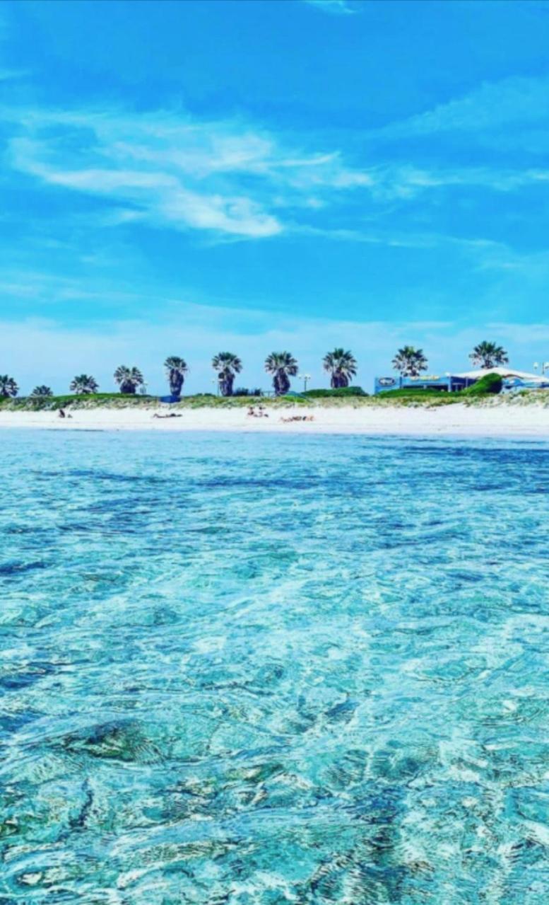 Windsurf Beach Front ตอร์เร กรานเด ภายนอก รูปภาพ